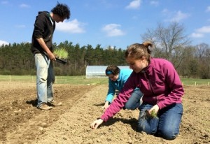 Planting is well under way at Seminary Hill Farm