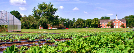 Farm panorama