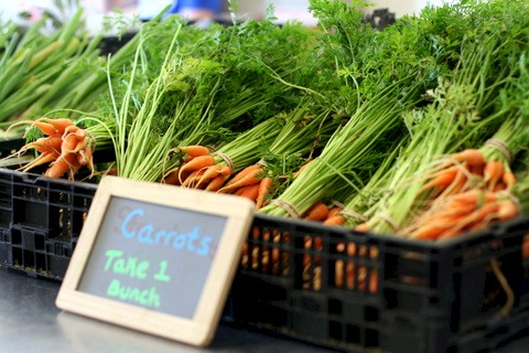 Seminary Hill Farm